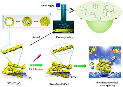 Free-Standing Electrospun W-Doped BiVO4 Porous Nanotubes for the Efficient Photoelectrochemical Water Oxidation